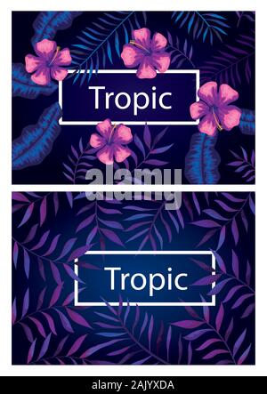 Satz von Frames tropic mit Blumen und Blätter Stock Vektor
