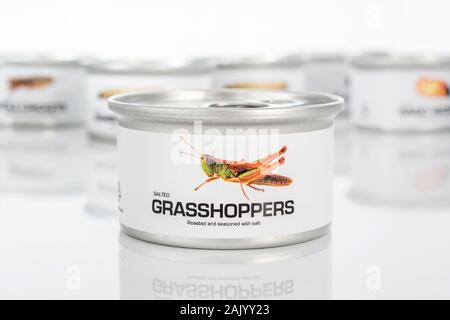 Zinn der Essbare Insekten / Neuheit essen - Grasshoppers/Acrididae Arten. Konzept Insekten als menschliche Nahrung, entomophagy, essen Bugs Insekten. Stockfoto