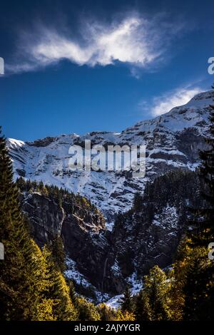 Bunte grünen und gelben Wald vor einer beeindruckenden schneebedeckten Berge in den Schweizer Alpen Stockfoto