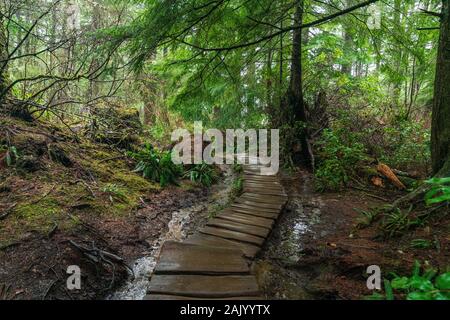 Cape Flattery, die am weitesten Punkt im Nordwesten in den unteren 48 United States. Die Olympische Halbinsel, Washington. Stockfoto