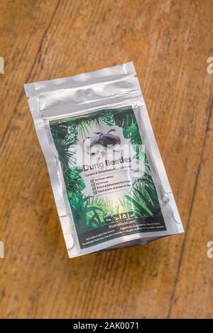 Pack Essbare Insekten / Neuheit Essen: Mistkäfern/Onitis Arten. Konzept Insekten als menschliche Nahrung, entomophagy, Essen käfer, insekt Snacks Stockfoto