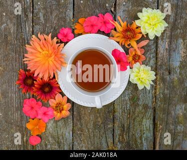 Eine frische Tasse Kaffee mit Dahlie, Impatiens und gaillardia Blumen. Stockfoto