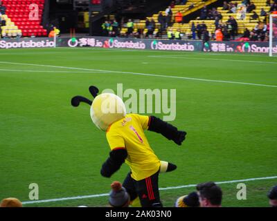 Harry the Hornet - Watford - Großbritannien Stockfoto