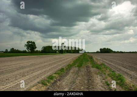 Stürmischen dunklen Wolken, Bäume und eine Straße durch den Furchen des Feldes Stockfoto