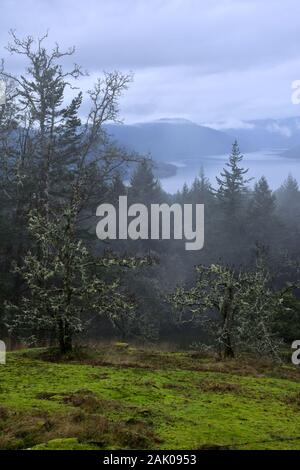 Saanich Inlet von John Dean Provincial Park Stockfoto