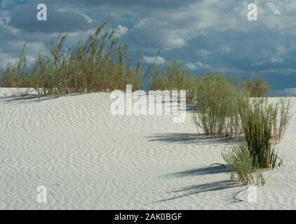 Glitzernden weißen Sanddünen im White Sands National Park in New Jersey sind vor allem aus dem mineral Gips. Stockfoto