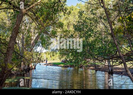 Mackay, Queensland, Australien - Dezember 2019: Urlauber relaxen am Ufer eines Feuchtgebiete See auf dem Rasen im Schatten Stockfoto