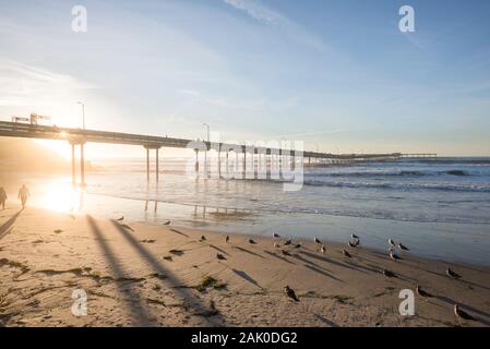 Küsten winter Abend vor Sonnenuntergang. Blick auf den Ocean Beach Pier. San Diego, Kalifornien, USA. Stockfoto
