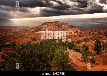 Die ersten Sonnenstrahlen schlagen die Hoodoos im Bryce Canyon, Utah Stockfoto