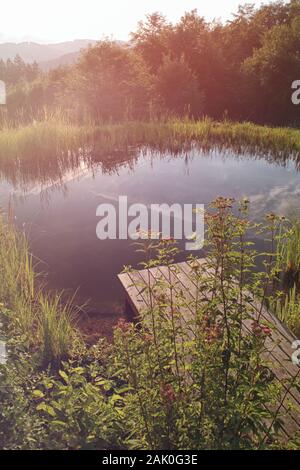 Kleiner Teich im natürlichen Garten, mit Pier und Gras rund, Wald im Hintergrund, durchnässt von Sonnenschein Stockfoto