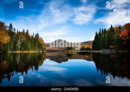 Herbst Wald See Reflexion Landschaft Stockfoto