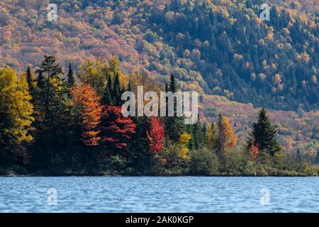 Bunte Herbst Wald am See Stockfoto