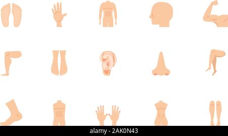 Icon Set Design, menschliche Körper person Menschen Gesundheit Anatomie Biologie und Wissenschaft Thema Vector Illustration Stock Vektor