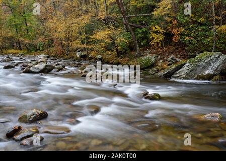 Ein Bach fließt über Geröll im Herbst in den Smokey Mountain National Park, Tennessee, USA. Stockfoto