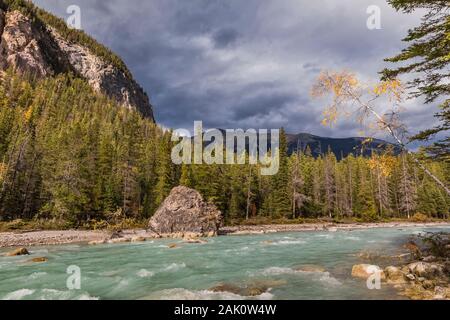 Fluss im September im Emerald Lake Gebiet der Yoho National Park, British Columbia, Kanada Stockfoto