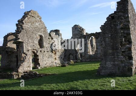 Easby Abbey Richmond Yorkshire Stockfoto