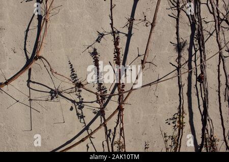 Chemische Anlagen Casting Shadows auf einem grauen Betonwand an einem sonnigen Tag Stockfoto