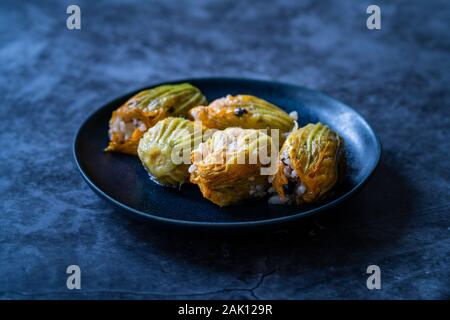 Zucchiniblüten Dolma gefüllt mit Reis Pilav / türkisches Essen in der Platte. Traditionelle biologische Lebensmittel. Stockfoto