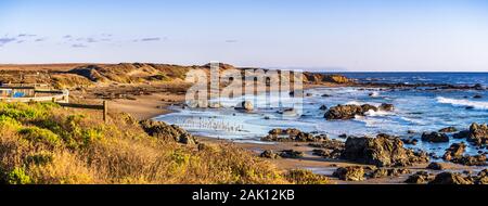 Panoramablick auf den Pazifik Küste an einem sonnigen Wintertag; Seeelefanten am Strand sichtbar; San Simeon, Kalifornien Stockfoto