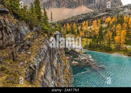 Lake Victoria entlang des Lake Oesa Trail im September im Yoho National Park, British Columbia, Kanada Stockfoto