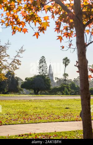 Herbst Laub und Blick auf Balboa Park. San Diego, Kalifornien, USA. Stockfoto