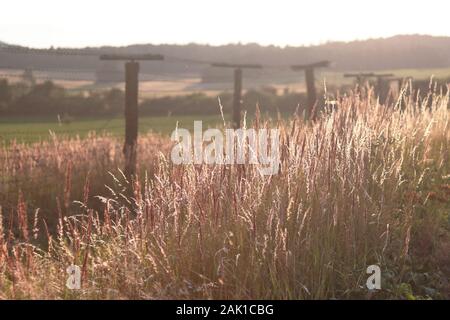 Erhaltene Eiserne Vorhanglinie - Stacheldrahtzaun und Wachturm an der Grenze Tschechiens, aus der Zeit des Kalten Krieges Stockfoto