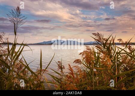 See mit Gras im Vordergrund, am Horizont die Pavlov, Hügel, Sonnenuntergang, Palava Stockfoto