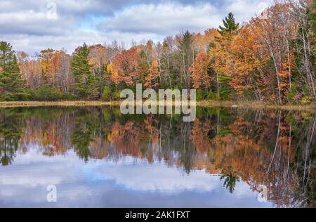 Herbstfarben in der chequamegon National Forest. Stockfoto