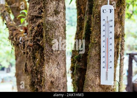 Große Straße Thermometer ist im Garten der Stadt Chiang Mai in Thailand Stockfoto