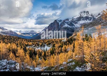 Dramatische Aussicht entlang zum See McArthur mit Mount Huber distanziert, im September im Yoho National Park, British Columbia, Kanada Stockfoto