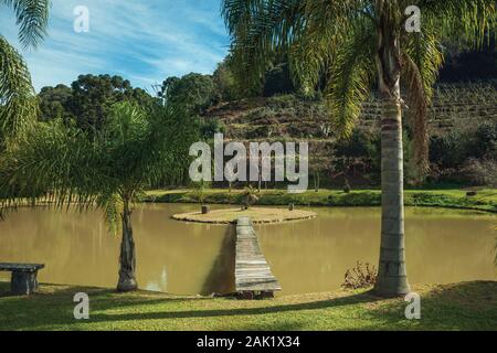 Holzsteg gehen zu einer kleinen Insel im Teich von einem Garten mit Palmen in der Nähe von Bento Goncalves. Ein Wein produzierenden Land Stadt im Süden Brasiliens. Stockfoto