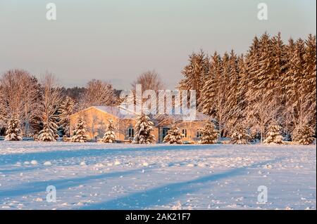 Winter auf dem Bauernhof Stockfoto