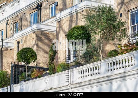 Kleine Bäume in Töpfe im Haus Balkon Garten. Onslow Gardens, South Kensington, London, England Stockfoto