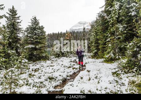 Karen Rentz an einem verschneiten Tag entlang der Spur System in der Nähe von Linda Lake und Lake O'Hara im September im Yoho National Park, British Columbia, Kanada Stockfoto