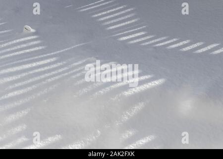 Ein Spiel der Schatten auf der Oberfläche von frisch gefallenen Schnee im Hinterhof. Stockfoto