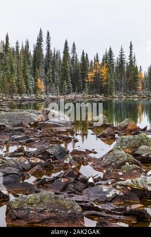 Verschneiten Tag im September Morning Glory Seen in der Nähe von Lake O'Hara im Yoho National Park, British Columbia, Kanada Stockfoto