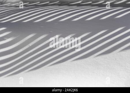 Ein Spiel der Schatten auf der Oberfläche von frisch gefallenen Schnee im Hinterhof. Stockfoto