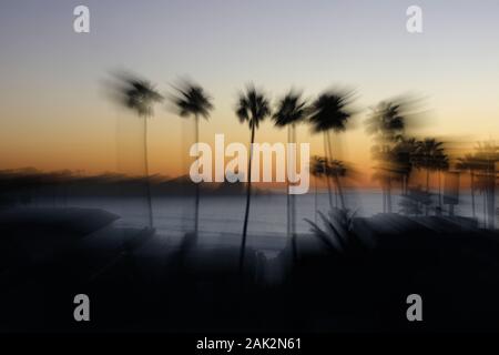 San Diego, Kalifornien, USA. 31 Dez, 2019. Palmen säumen die La Jolla Küste bei Sonnenuntergang. Credit: KC Alfred/ZUMA Draht/Alamy leben Nachrichten Stockfoto