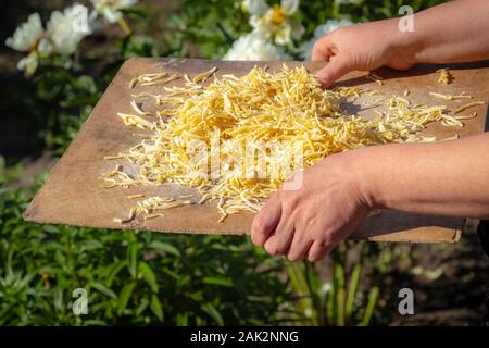 In Scheiben geschnittene hausgemachte Nudeln sind im Garten Küche zum Kochen. Stockfoto