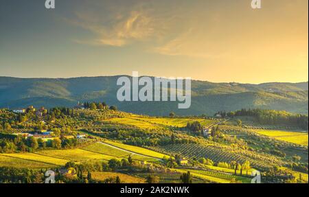 Panzano in Chianti Weinberg und Panorama bei Sonnenuntergang im Herbst. Toskana, Italien Europa. Stockfoto