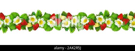 Nahtlose Leitungs Anordnung mit strawbwrries Blumen, Beeren und Blätter isoliert auf Weiss. Nahtlose Muster. Stockfoto