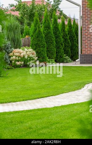 Frisch Gras im Hinterhof eines privaten Hauses. Stockfoto