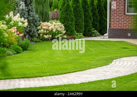 Frisch Gras im Hinterhof eines privaten Hauses. Stockfoto