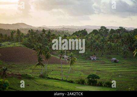 Schönen Sonnenuntergang über Kokospalmen und ländlichen Bauernhof auf der kleinen Insel auf den Philippinen Stockfoto