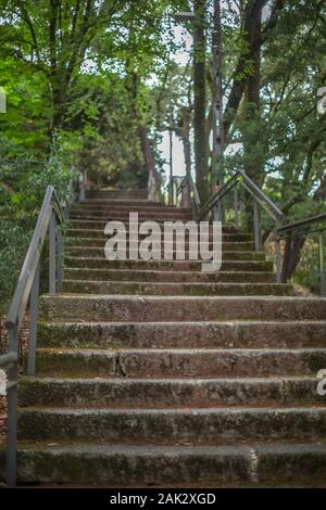 Blick auf Granit Treppe in der Mitte des Waldes... Stockfoto