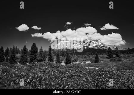 Mount Shasta mit Schnee und Eiskappe im Sommer ist ein riesiger Vulkan in Kalifornien. Sie überragt die umliegenden Ebenen und Hügel. Stockfoto