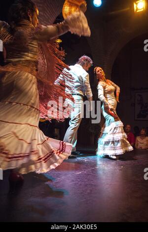 Provinz Sevilla / Sevilla Stadt: Flamenco-Auffuehrung im Museo del Baile Flamenco, Andalusien | Verwendung weltweit Stockfoto