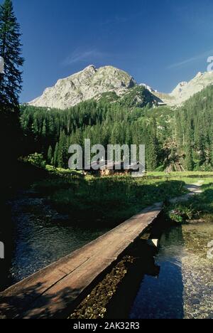 Eine einfache Brücke führt über einen kleinen Wasser Wasser Alp am Fuß der Berge in der Teufelshoerner Roeth in das Steinerne Meer Gebirge Stockfoto