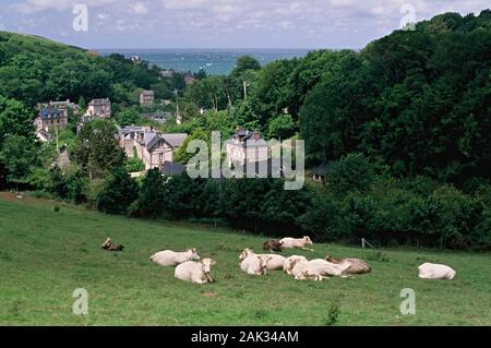 In idyllischer Lage zwischen dem Sehen, Wald und Wiesen liegt das Dorf Les Petites Dalles im Departement Seine-Maritime, Frankreich. (Undatiert Stockfoto