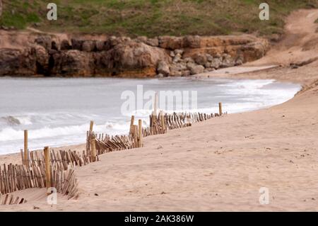 Sandfang, Fechten, Sandhaven Strand, South Shields, South Tyneside Stockfoto